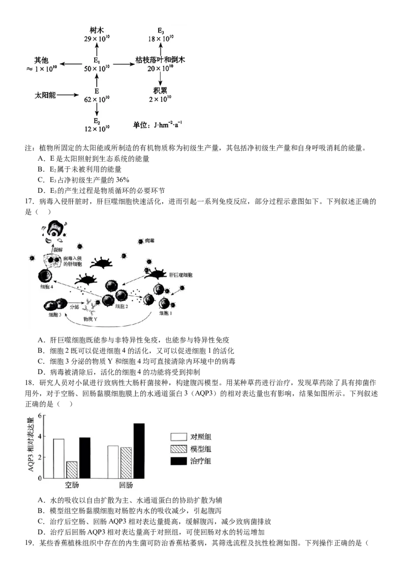 辽宁生物-试题-p_近10年高考真题汇编（必刷）_2024年高考真题_高考真题（截止6.29）_辽宁卷副科（黑龙江、辽宁、吉林）（6科全）