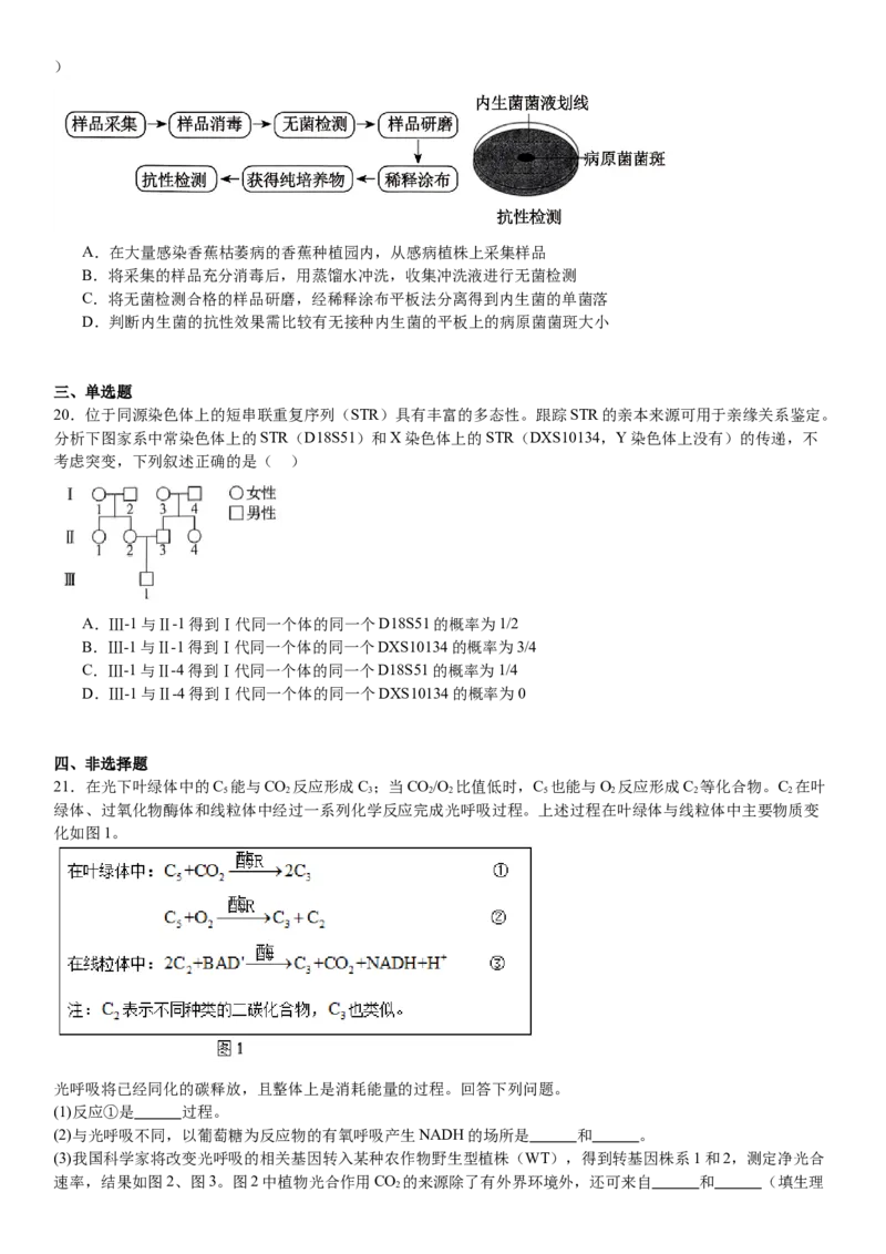 辽宁生物-试题-p_近10年高考真题汇编（必刷）_2024年高考真题_高考真题（截止6.29）_辽宁卷副科（黑龙江、辽宁、吉林）（6科全）