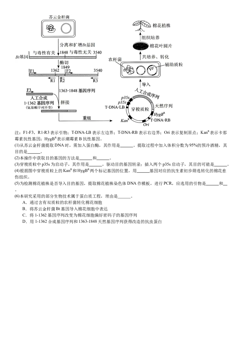 辽宁生物-试题-p_近10年高考真题汇编（必刷）_2024年高考真题_高考真题（截止6.29）_辽宁卷副科（黑龙江、辽宁、吉林）（6科全）