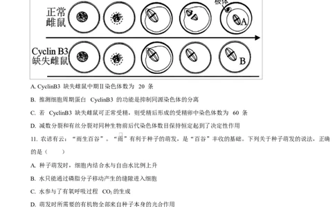黑龙江省哈尔滨市南岗区哈尔滨市第三中学校2025-2026学年高三上学期9月月考生物试题（有答案）_2025年9月_250913黑龙江省哈尔滨市第三中学校2025-2026学年高三上学期9月月考（全科）