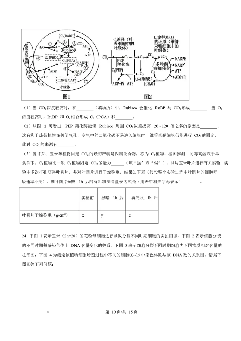 黑龙江省哈尔滨市南岗区哈尔滨市第三中学校2025-2026学年高三上学期9月月考生物试题（有答案）_2025年9月_250913黑龙江省哈尔滨市第三中学校2025-2026学年高三上学期9月月考（全科）