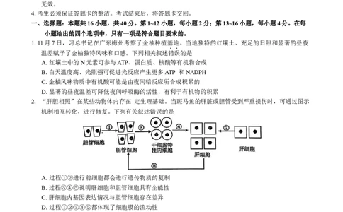 广东省惠州市2026届高三第二次调研考试生物学试题（含答案）(1)_2026年1月_260117广东省惠州市2025-2026学年高三上学期第二次调研考试（全科）
