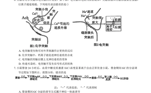 广东省惠州市2026届高三第二次调研考试生物学试题（含答案）(1)_2026年1月_260117广东省惠州市2025-2026学年高三上学期第二次调研考试（全科）