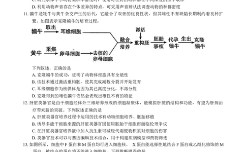 广东省惠州市2026届高三第二次调研考试生物学试题（含答案）(1)_2026年1月_260117广东省惠州市2025-2026学年高三上学期第二次调研考试（全科）