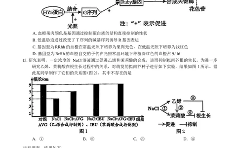 广东省惠州市2026届高三第二次调研考试生物学试题（含答案）(1)_2026年1月_260117广东省惠州市2025-2026学年高三上学期第二次调研考试（全科）