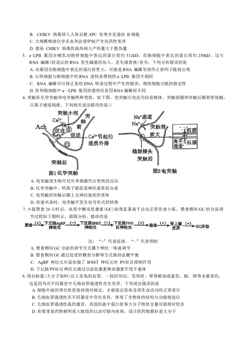 广东省惠州市2026届高三第二次调研考试生物学试题（含答案）(1)_2026年1月_260117广东省惠州市2025-2026学年高三上学期第二次调研考试（全科）