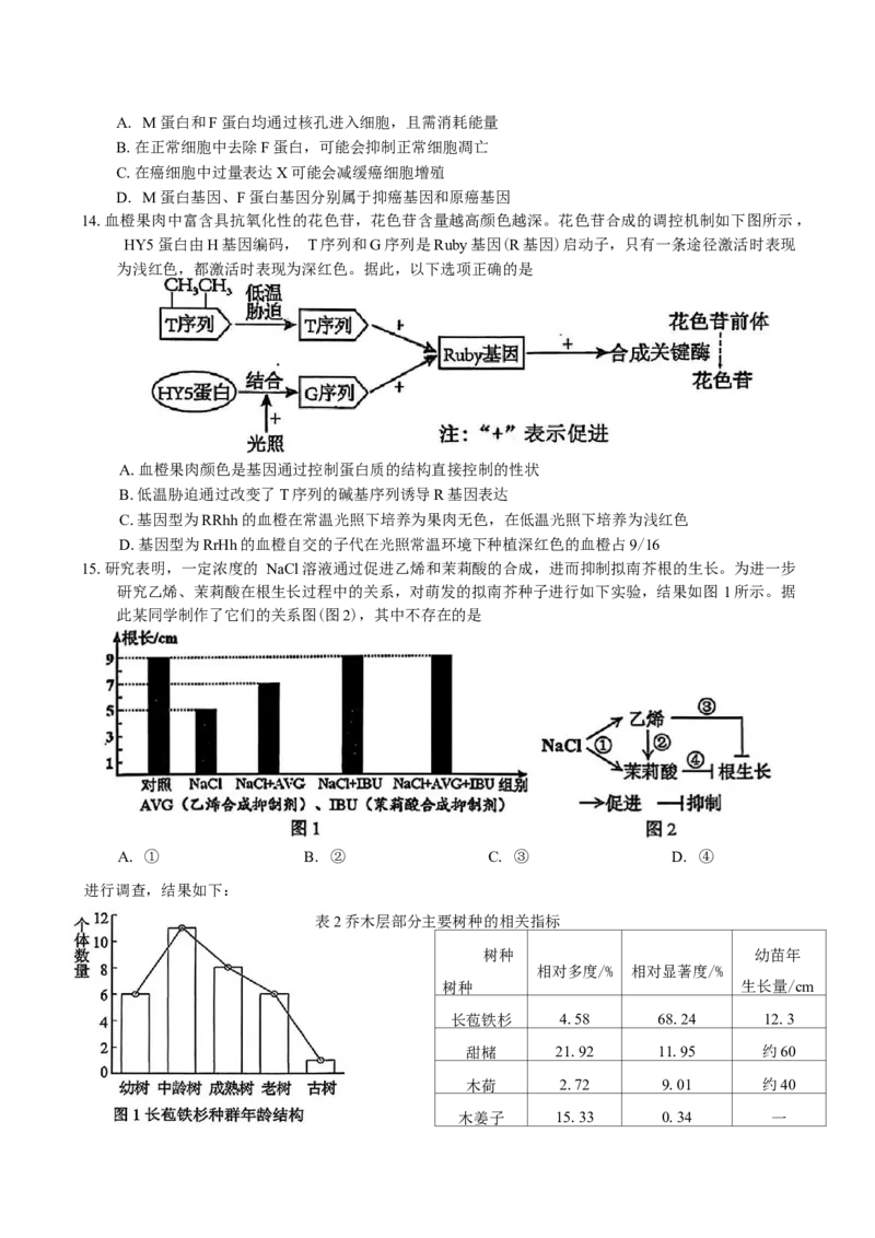 广东省惠州市2026届高三第二次调研考试生物学试题（含答案）(1)_2026年1月_260117广东省惠州市2025-2026学年高三上学期第二次调研考试（全科）