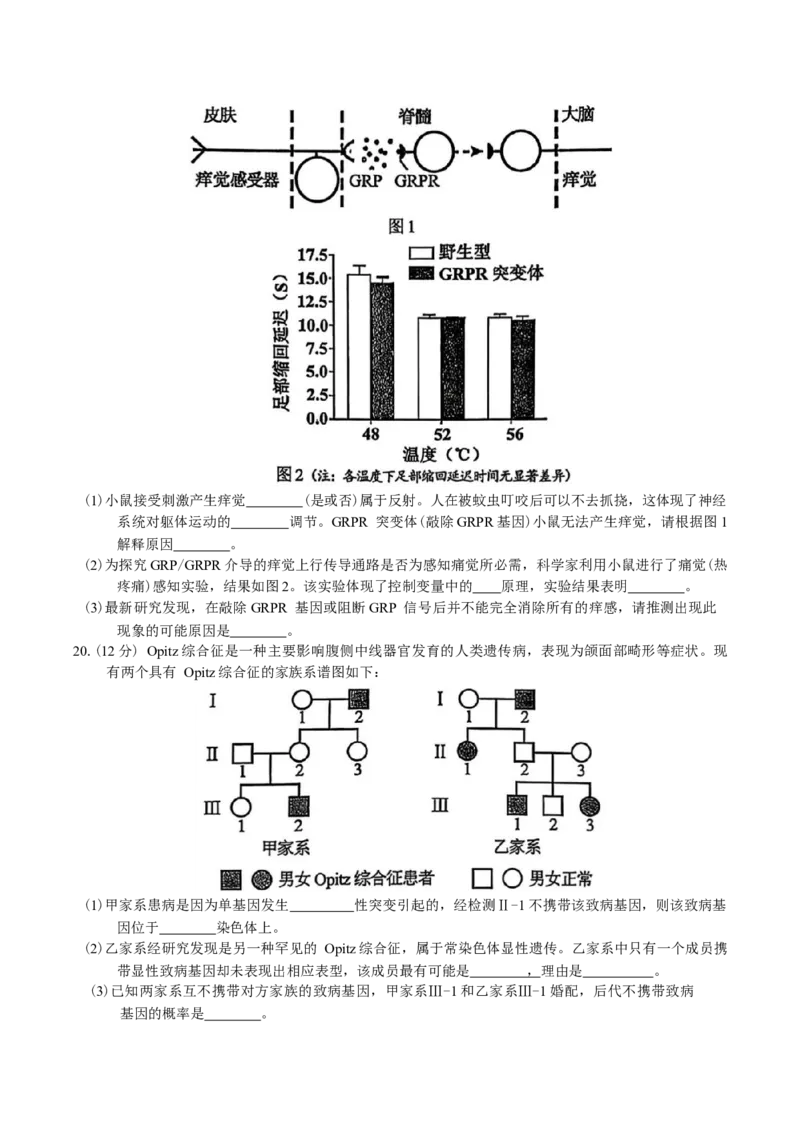 广东省惠州市2026届高三第二次调研考试生物学试题（含答案）(1)_2026年1月_260117广东省惠州市2025-2026学年高三上学期第二次调研考试（全科）