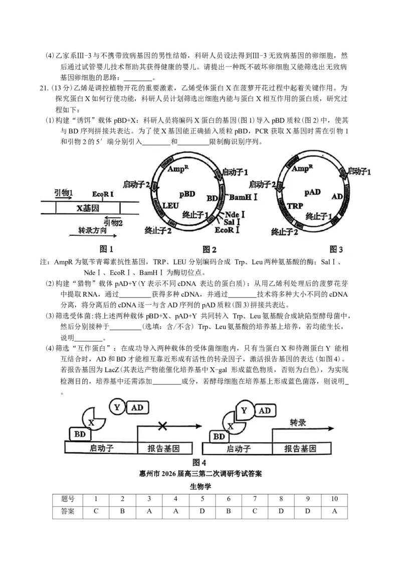 广东省惠州市2026届高三第二次调研考试生物学试题（含答案）(1)_2026年1月_260117广东省惠州市2025-2026学年高三上学期第二次调研考试（全科）