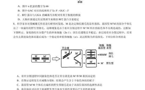 辽宁省实验中学2025届高三下学期第四次模拟考试生物试卷（含答案）_2025年5月_250521辽宁省实验中学2025届高三下学期第四次模拟考试（全科）