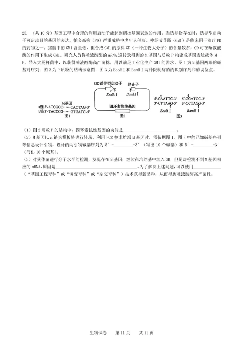 辽宁省实验中学2025届高三下学期第四次模拟考试生物试卷（含答案）_2025年5月_250521辽宁省实验中学2025届高三下学期第四次模拟考试（全科）