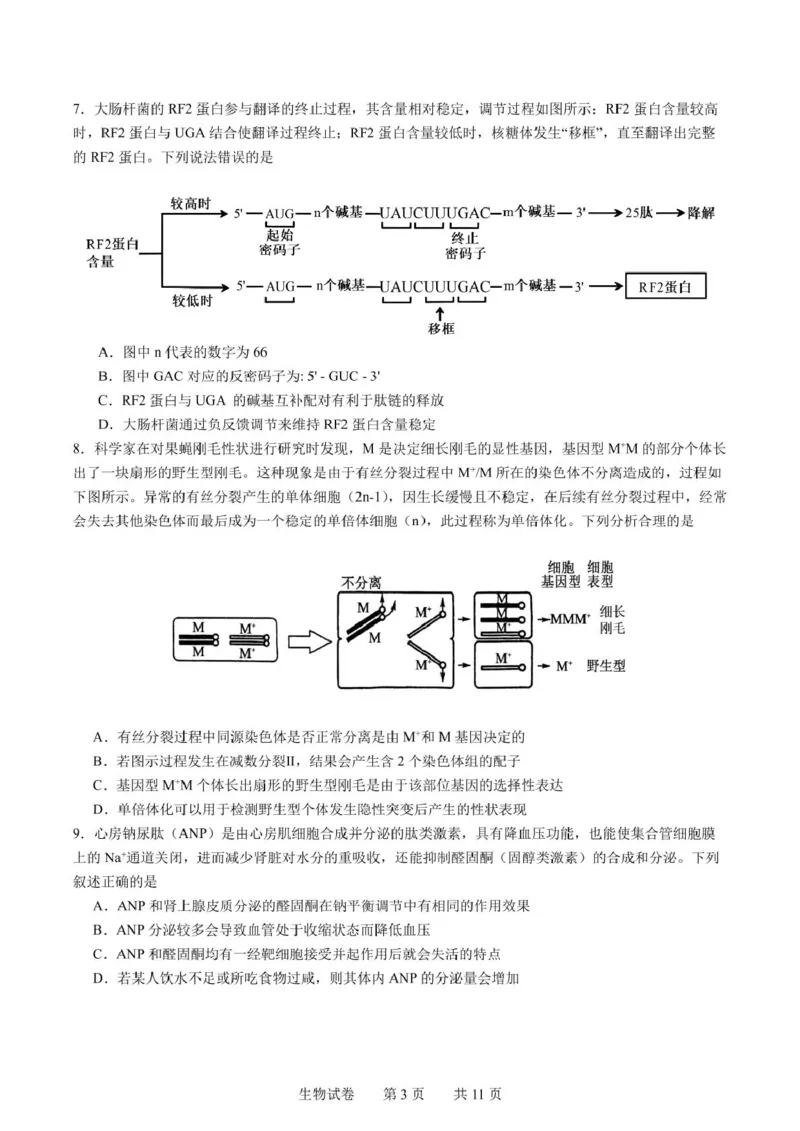 辽宁省实验中学2025届高三下学期第四次模拟考试生物试卷（含答案）_2025年5月_250521辽宁省实验中学2025届高三下学期第四次模拟考试（全科）
