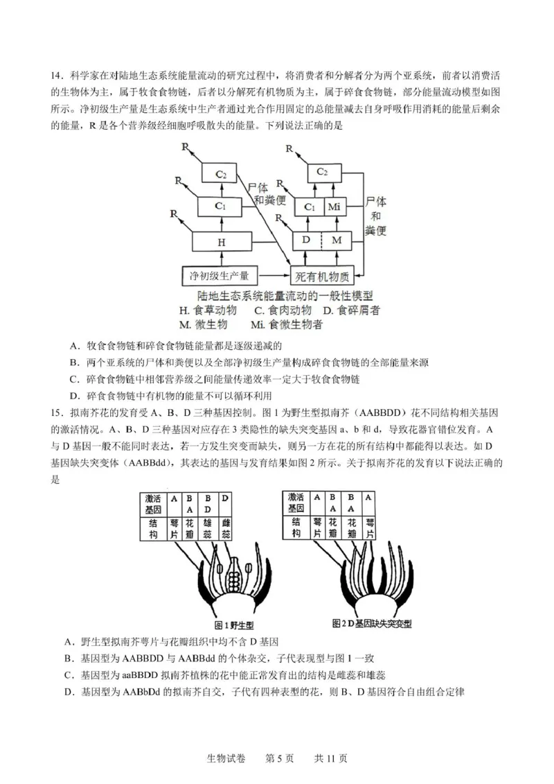辽宁省实验中学2025届高三下学期第四次模拟考试生物试卷（含答案）_2025年5月_250521辽宁省实验中学2025届高三下学期第四次模拟考试（全科）