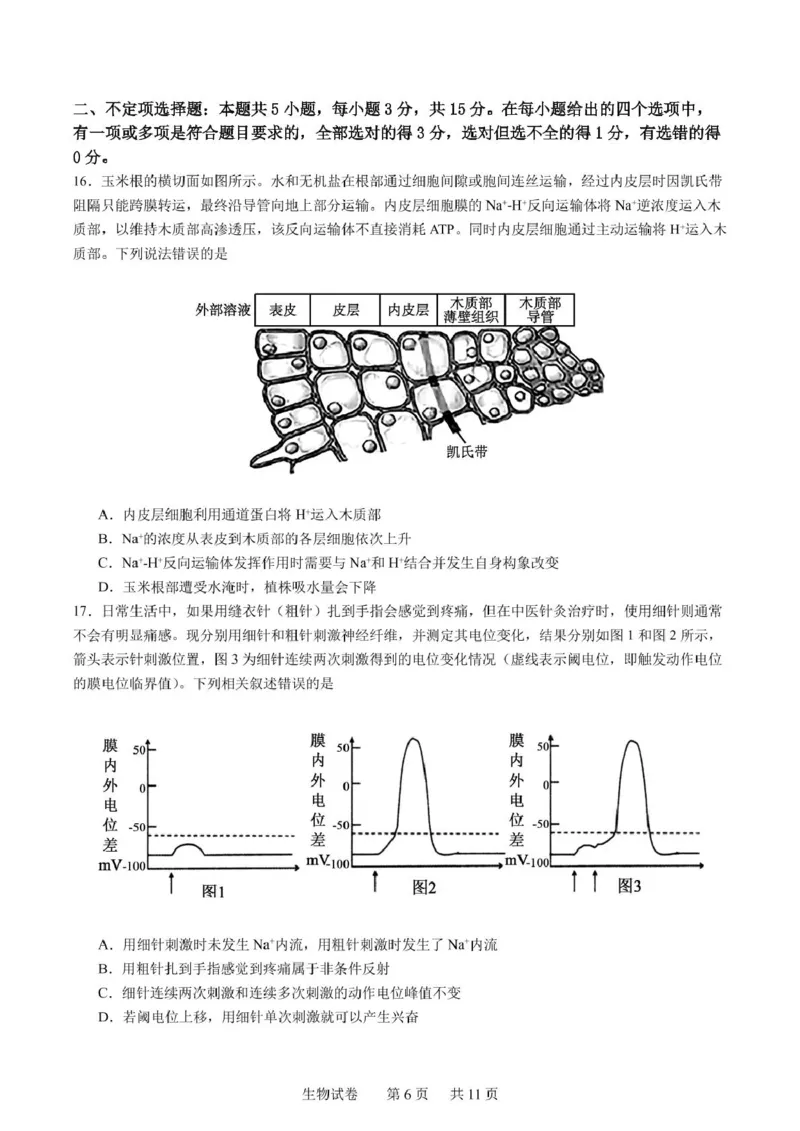 辽宁省实验中学2025届高三下学期第四次模拟考试生物试卷（含答案）_2025年5月_250521辽宁省实验中学2025届高三下学期第四次模拟考试（全科）