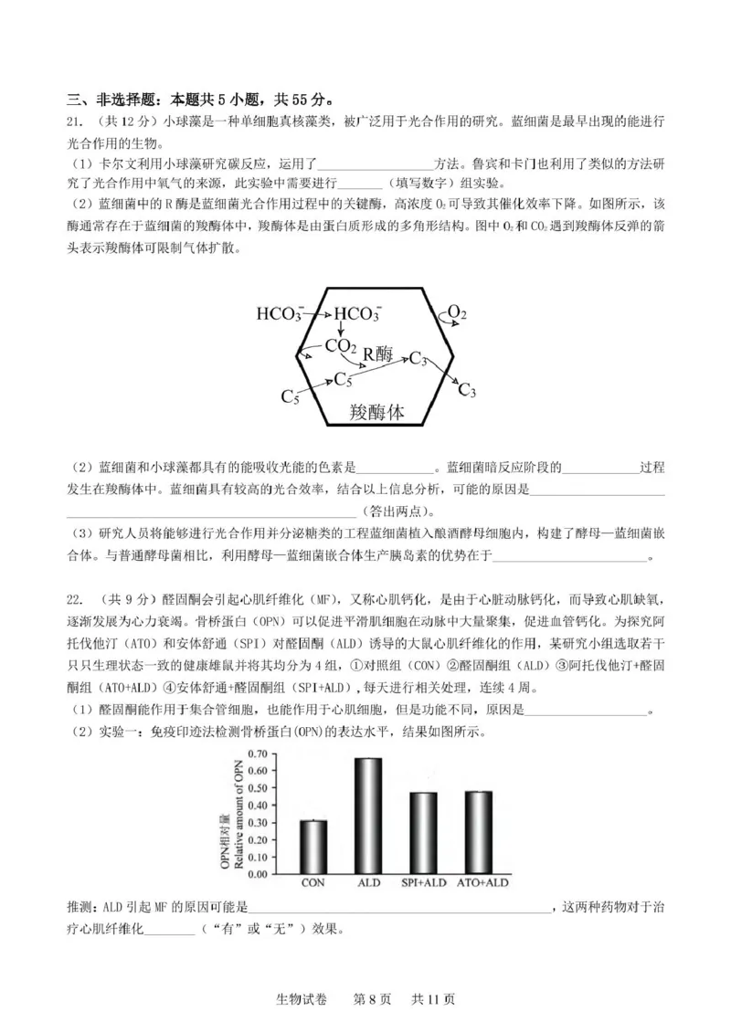 辽宁省实验中学2025届高三下学期第四次模拟考试生物试卷（含答案）_2025年5月_250521辽宁省实验中学2025届高三下学期第四次模拟考试（全科）