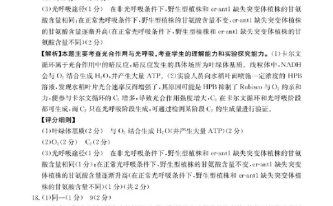 陕西省2026届高三上学期1月期末联考（26-223C）生物答案(1)_2026年1月_260129金太阳&middot;陕西省2026届高三上学期1月期末联考（26-223C）（全科）