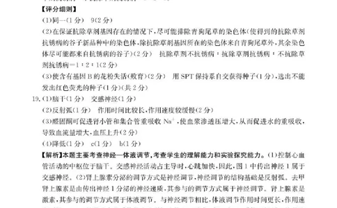 陕西省2026届高三上学期1月期末联考（26-223C）生物答案(1)_2026年1月_260129金太阳&middot;陕西省2026届高三上学期1月期末联考（26-223C）（全科）