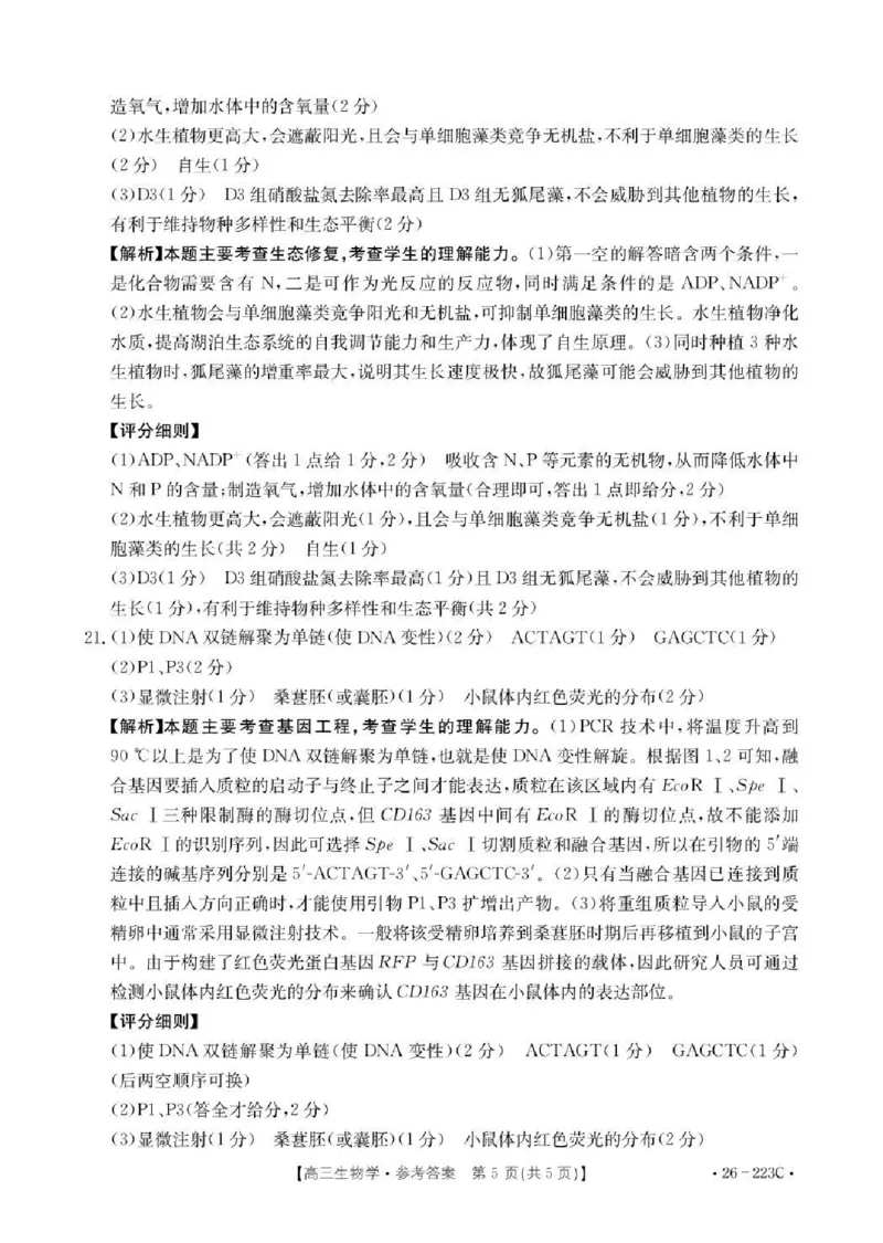 陕西省2026届高三上学期1月期末联考（26-223C）生物答案(1)_2026年1月_260129金太阳&middot;陕西省2026届高三上学期1月期末联考（26-223C）（全科）