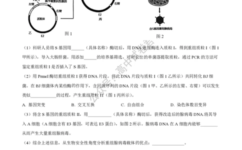 上海市上海交通大学附属中学2023-2024学年高三上学期摸底考试生物试题(1)_2023年9月_029月合集_2024届上海市上海交通大学附属中学高三上学期摸底考试