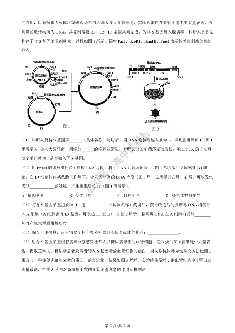 上海市上海交通大学附属中学2023-2024学年高三上学期摸底考试生物试题(1)_2023年9月_029月合集_2024届上海市上海交通大学附属中学高三上学期摸底考试