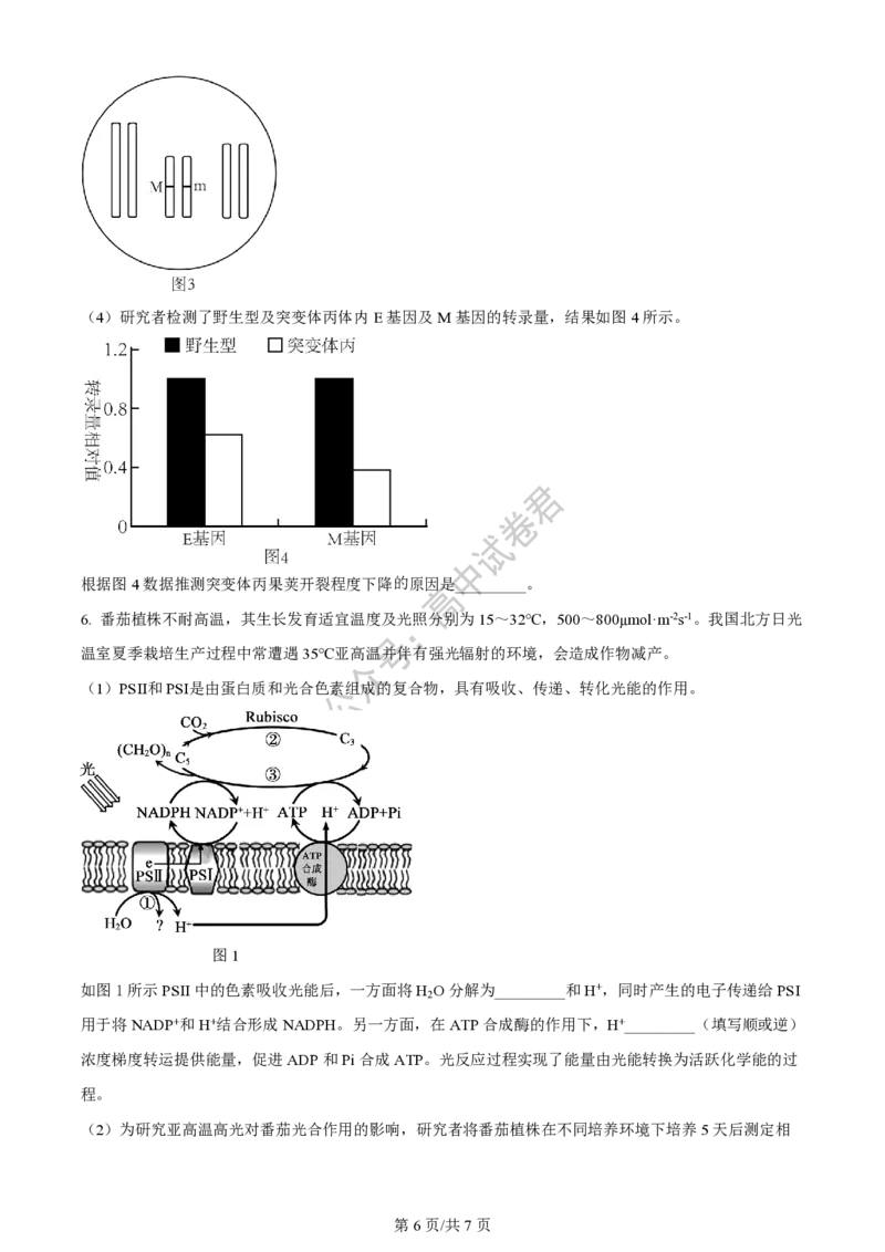 上海市上海交通大学附属中学2023-2024学年高三上学期摸底考试生物试题(1)_2023年9月_029月合集_2024届上海市上海交通大学附属中学高三上学期摸底考试