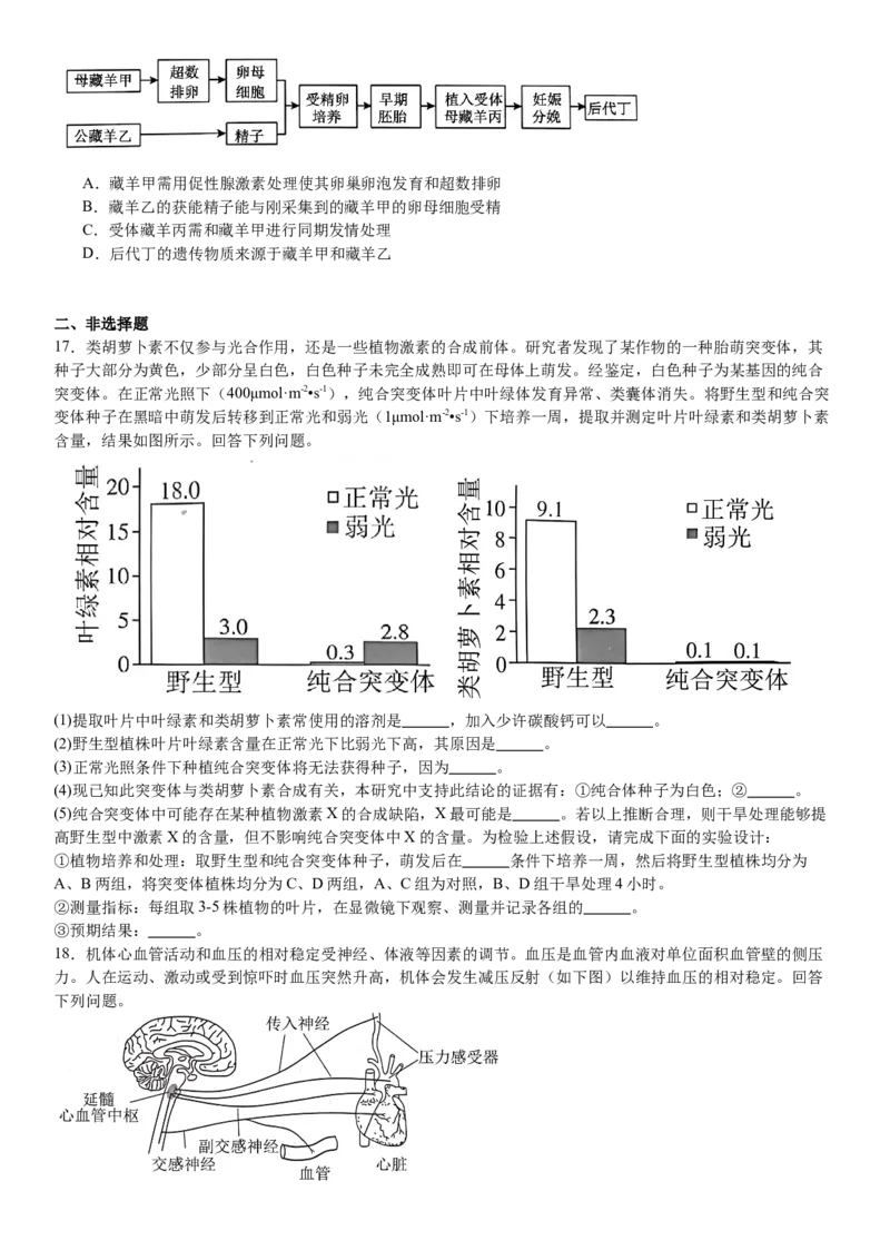 甘肃生物-试题-p_近10年高考真题汇编（必刷）_2024年高考真题_高考真题（截止6.29）_其他地方卷（目前搜集不完整）_甘肃卷（物、化、生、地）