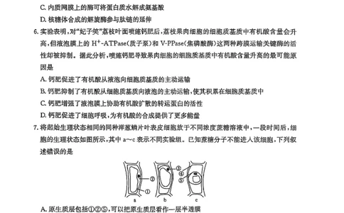 高三生物_2025年11月_251125福建省金太阳高三11月第一学期半期联考（全科）（26-10-105C）_1209215425_试卷