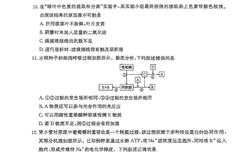 高三生物_2025年11月_251125福建省金太阳高三11月第一学期半期联考（全科）（26-10-105C）_1209215425_试卷