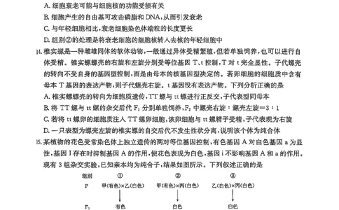 高三生物_2025年11月_251125福建省金太阳高三11月第一学期半期联考（全科）（26-10-105C）_1209215425_试卷