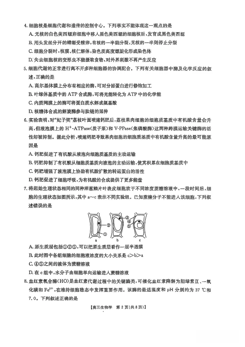 高三生物_2025年11月_251125福建省金太阳高三11月第一学期半期联考（全科）（26-10-105C）_1209215425_试卷