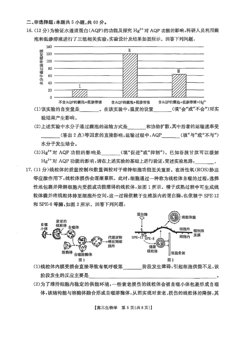 高三生物_2025年11月_251125福建省金太阳高三11月第一学期半期联考（全科）（26-10-105C）_1209215425_试卷
