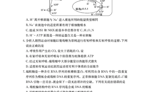 长郡中学2026届高三月考试卷（二）生物_2025年10月_251016湖南省长沙市长郡中学2025-2026学年高三上学期月考（二）（全科）