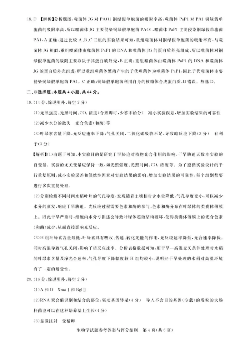 广东省2024届广州高三阶段训练市统考生物答案(1)_2023年8月_028月合集_2024届广东省广州高三阶段训练市统考