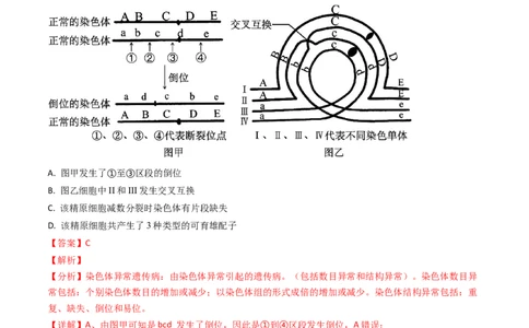专题10变异与育种-2024年高考真题和模拟题生物分类汇编（教师卷）_近10年高考真题汇编（必刷）_十年（2014-2024）高考生物真题分项汇编（全国通用）