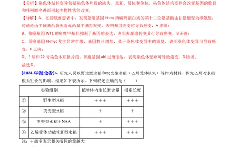 专题10变异与育种-2024年高考真题和模拟题生物分类汇编（教师卷）_近10年高考真题汇编（必刷）_十年（2014-2024）高考生物真题分项汇编（全国通用）
