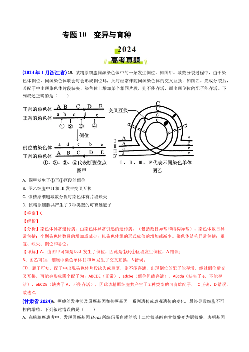 专题10变异与育种-2024年高考真题和模拟题生物分类汇编（教师卷）_近10年高考真题汇编（必刷）_十年（2014-2024）高考生物真题分项汇编（全国通用）
