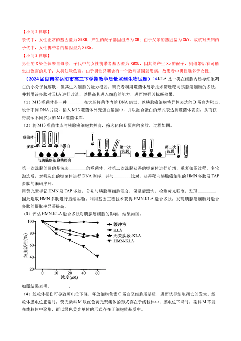 专题10变异与育种-2024年高考真题和模拟题生物分类汇编（教师卷）_近10年高考真题汇编（必刷）_十年（2014-2024）高考生物真题分项汇编（全国通用）