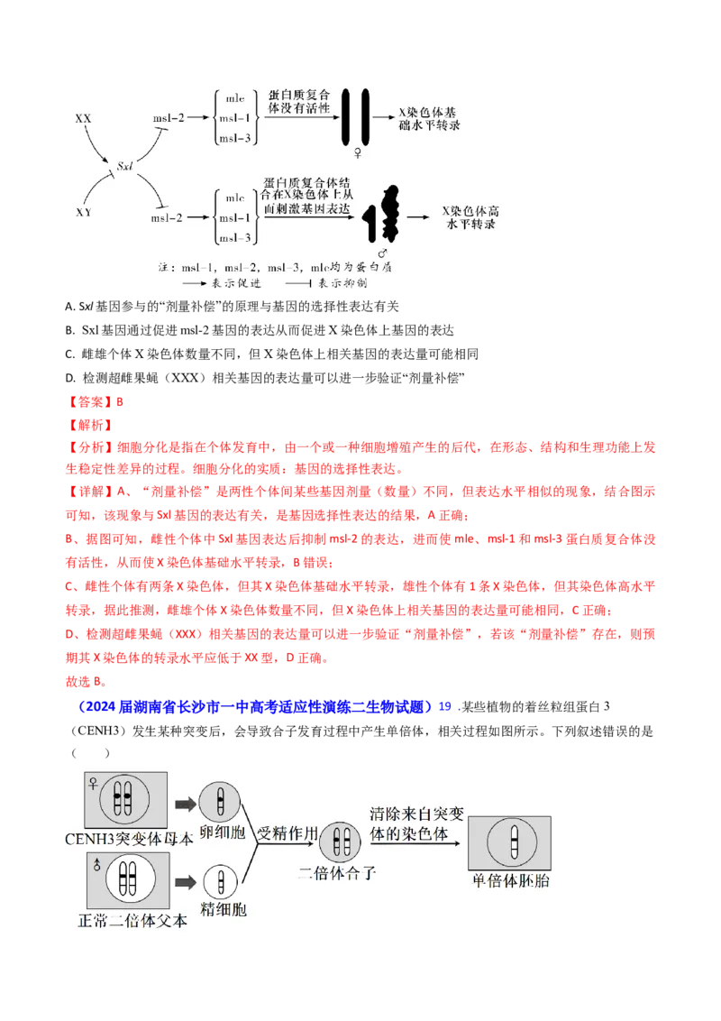 专题10变异与育种-2024年高考真题和模拟题生物分类汇编（教师卷）_近10年高考真题汇编（必刷）_十年（2014-2024）高考生物真题分项汇编（全国通用）