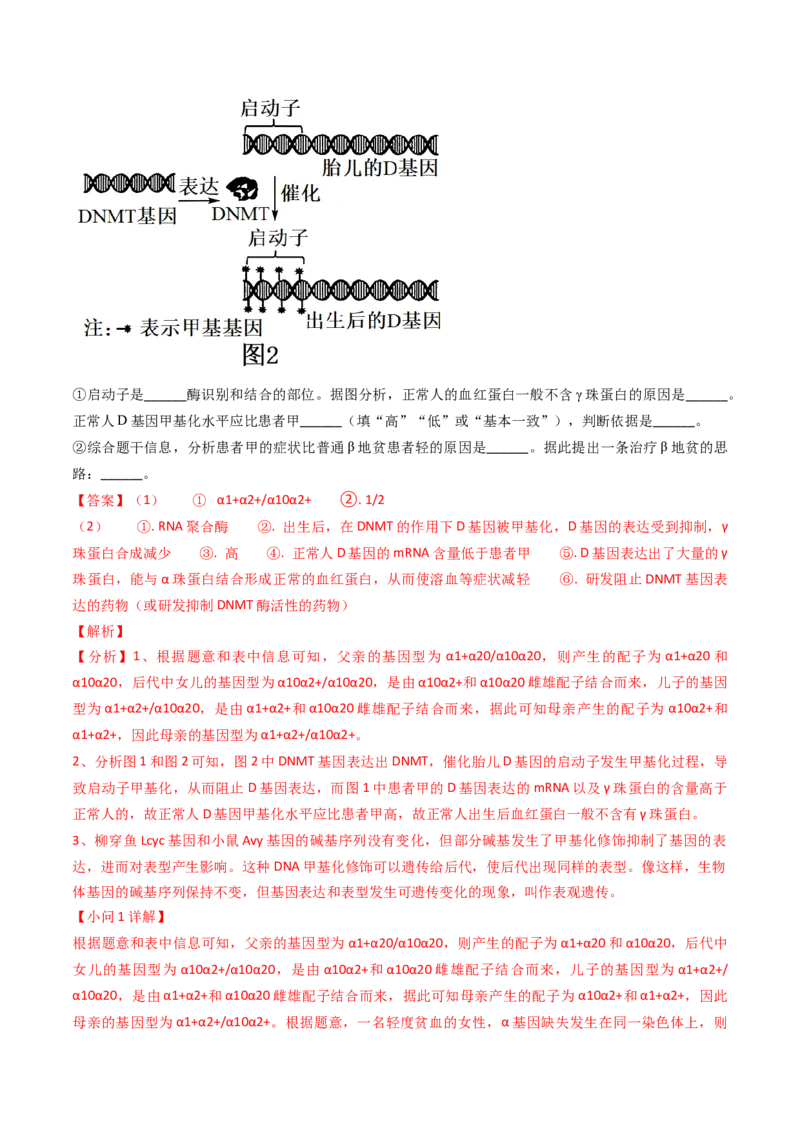 专题10变异与育种-2024年高考真题和模拟题生物分类汇编（教师卷）_近10年高考真题汇编（必刷）_十年（2014-2024）高考生物真题分项汇编（全国通用）