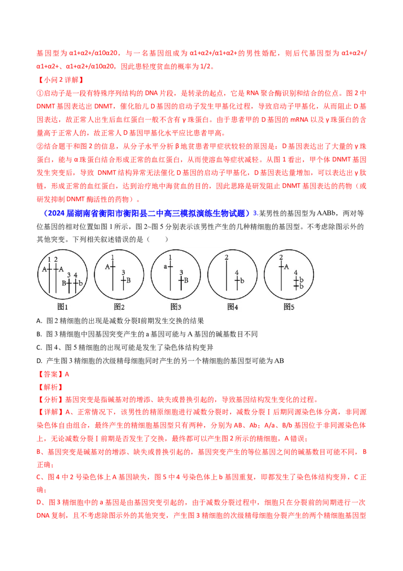 专题10变异与育种-2024年高考真题和模拟题生物分类汇编（教师卷）_近10年高考真题汇编（必刷）_十年（2014-2024）高考生物真题分项汇编（全国通用）