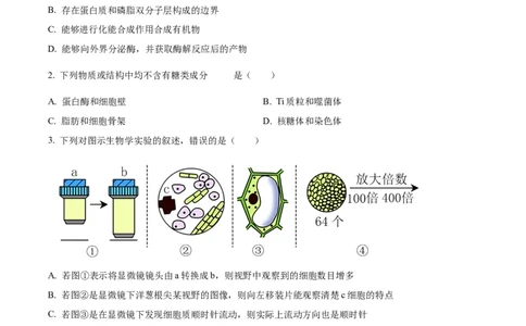天津市耀华中学2023-2024学年高三上学期第一次月考生物试题（原卷版）(1)_2023年10月_0210月合集_2024届天津市耀华中学高三上学期10月月考_天津市耀华中学2024届高三上学期10月月考生物