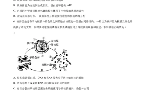 天津市耀华中学2023-2024学年高三上学期第一次月考生物试题（原卷版）(1)_2023年10月_0210月合集_2024届天津市耀华中学高三上学期10月月考_天津市耀华中学2024届高三上学期10月月考生物