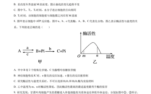 天津市耀华中学2023-2024学年高三上学期第一次月考生物试题（原卷版）(1)_2023年10月_0210月合集_2024届天津市耀华中学高三上学期10月月考_天津市耀华中学2024届高三上学期10月月考生物