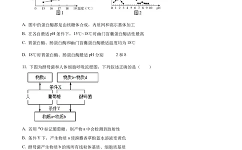 天津市耀华中学2023-2024学年高三上学期第一次月考生物试题（原卷版）(1)_2023年10月_0210月合集_2024届天津市耀华中学高三上学期10月月考_天津市耀华中学2024届高三上学期10月月考生物