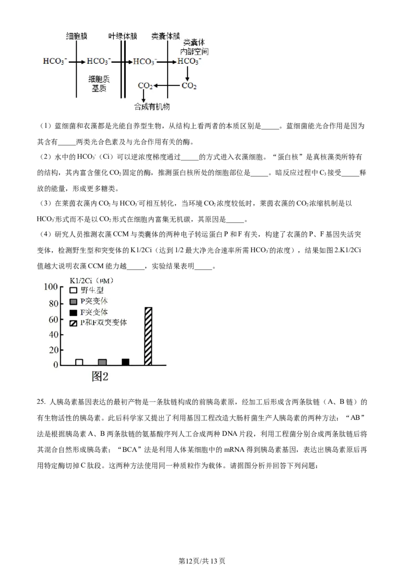 天津市耀华中学2023-2024学年高三上学期第一次月考生物试题（原卷版）(1)_2023年10月_0210月合集_2024届天津市耀华中学高三上学期10月月考_天津市耀华中学2024届高三上学期10月月考生物