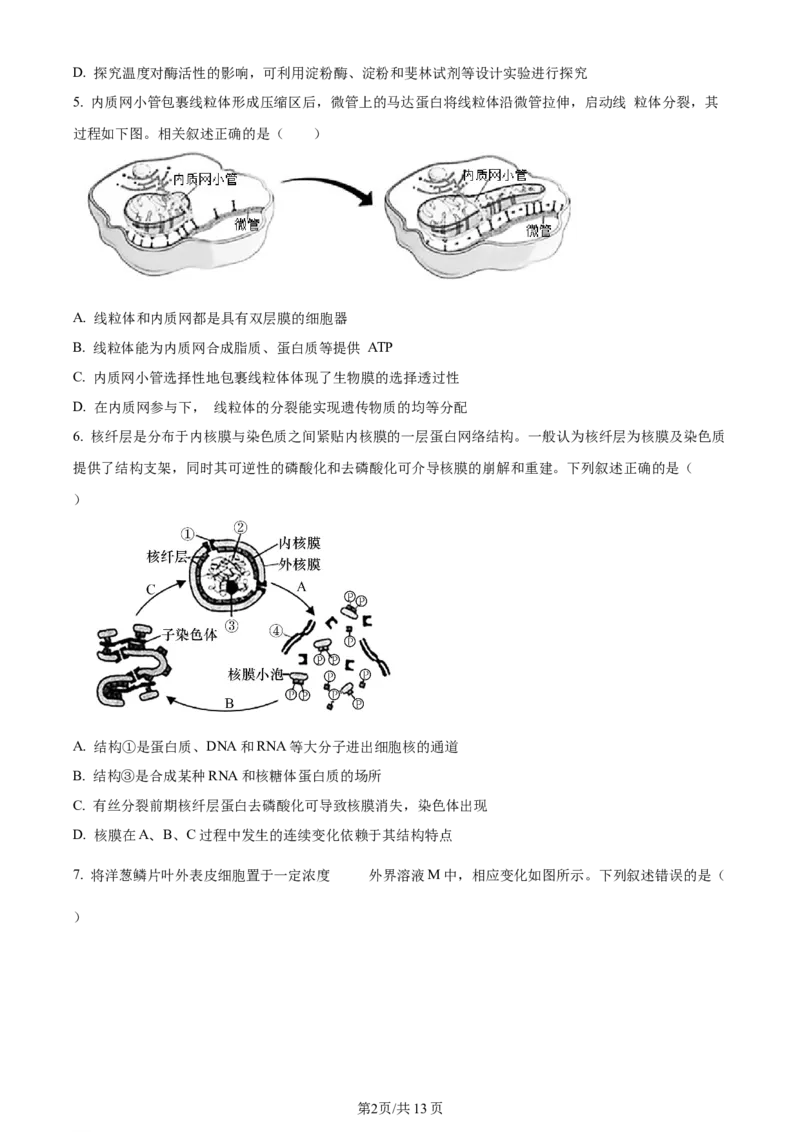 天津市耀华中学2023-2024学年高三上学期第一次月考生物试题（原卷版）(1)_2023年10月_0210月合集_2024届天津市耀华中学高三上学期10月月考_天津市耀华中学2024届高三上学期10月月考生物