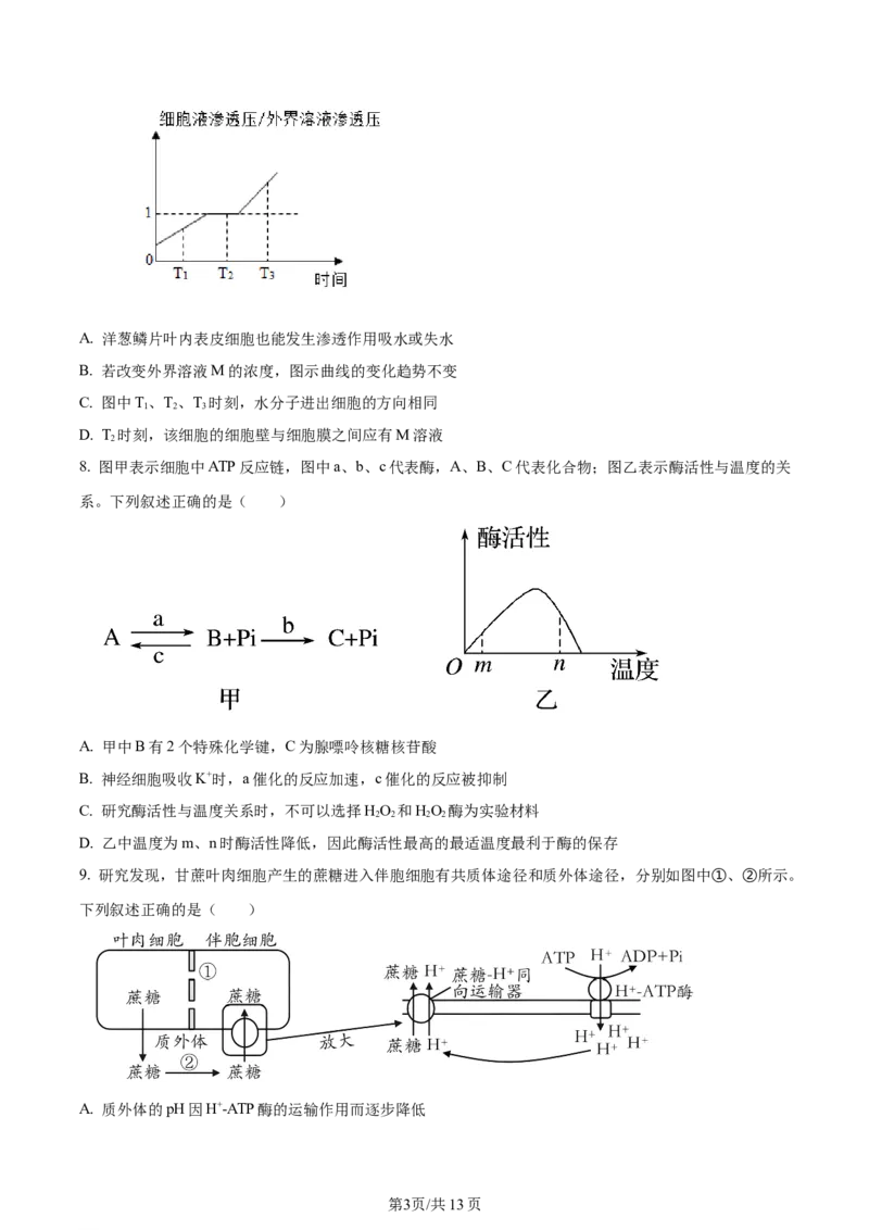 天津市耀华中学2023-2024学年高三上学期第一次月考生物试题（原卷版）(1)_2023年10月_0210月合集_2024届天津市耀华中学高三上学期10月月考_天津市耀华中学2024届高三上学期10月月考生物