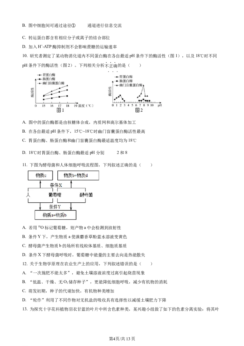 天津市耀华中学2023-2024学年高三上学期第一次月考生物试题（原卷版）(1)_2023年10月_0210月合集_2024届天津市耀华中学高三上学期10月月考_天津市耀华中学2024届高三上学期10月月考生物