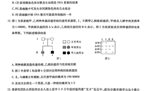 安徽省六校2026年元月高三素质检测考试生物(1)_2026年1月_260111安徽六校教育研究会2026届元月高三素质检测考试（全科）