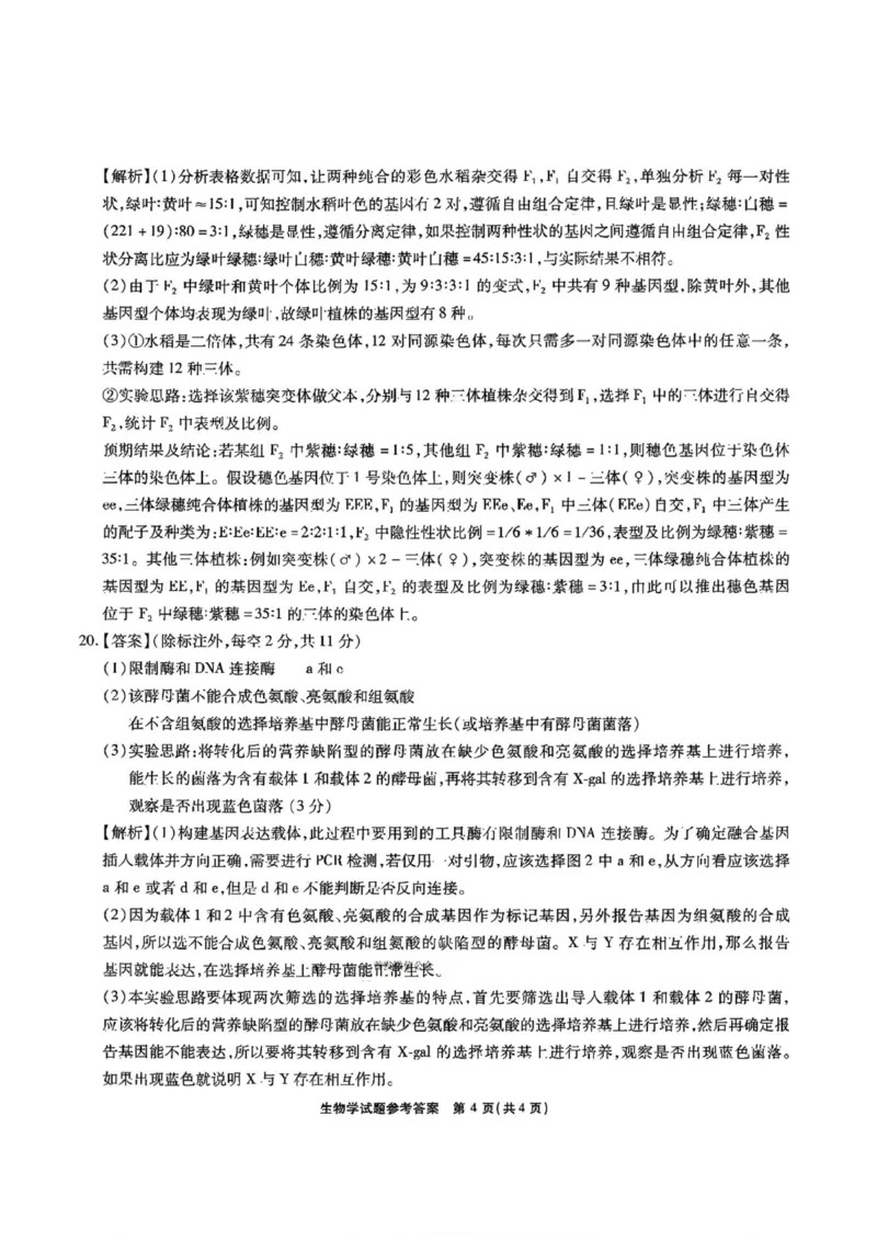 安徽省六校2026年元月高三素质检测考试生物(1)_2026年1月_260111安徽六校教育研究会2026届元月高三素质检测考试（全科）